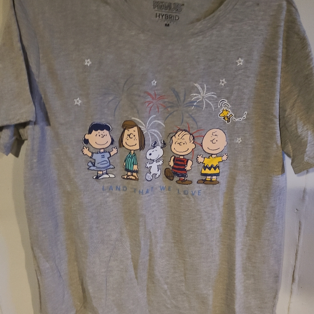 Peanuts Gray Graphic T-Shirt